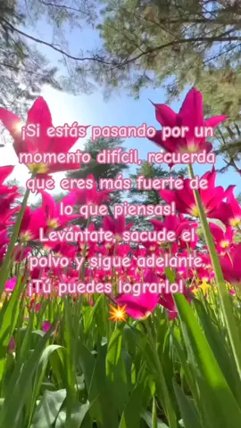 #Motivación  #NoTeRindas 💪
