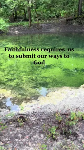 We trust that God will care for us, we follow where he leads #faithfull #faithfulness #faith #faithinhumanityrestored #greatisthyfaithfulness #godsfaithfulness #godisfaithful #hisfaithbiggerthanhisfear #bible #faithoverfear #jesussaves #jesuslovesyou #jesuschrist #god #godisgood #godisgoodallthetime #godbless #yourfaithfulnessiseverlasting #rememberhisfaithfulness #godfirst #jesusisking #jesusismysavior 