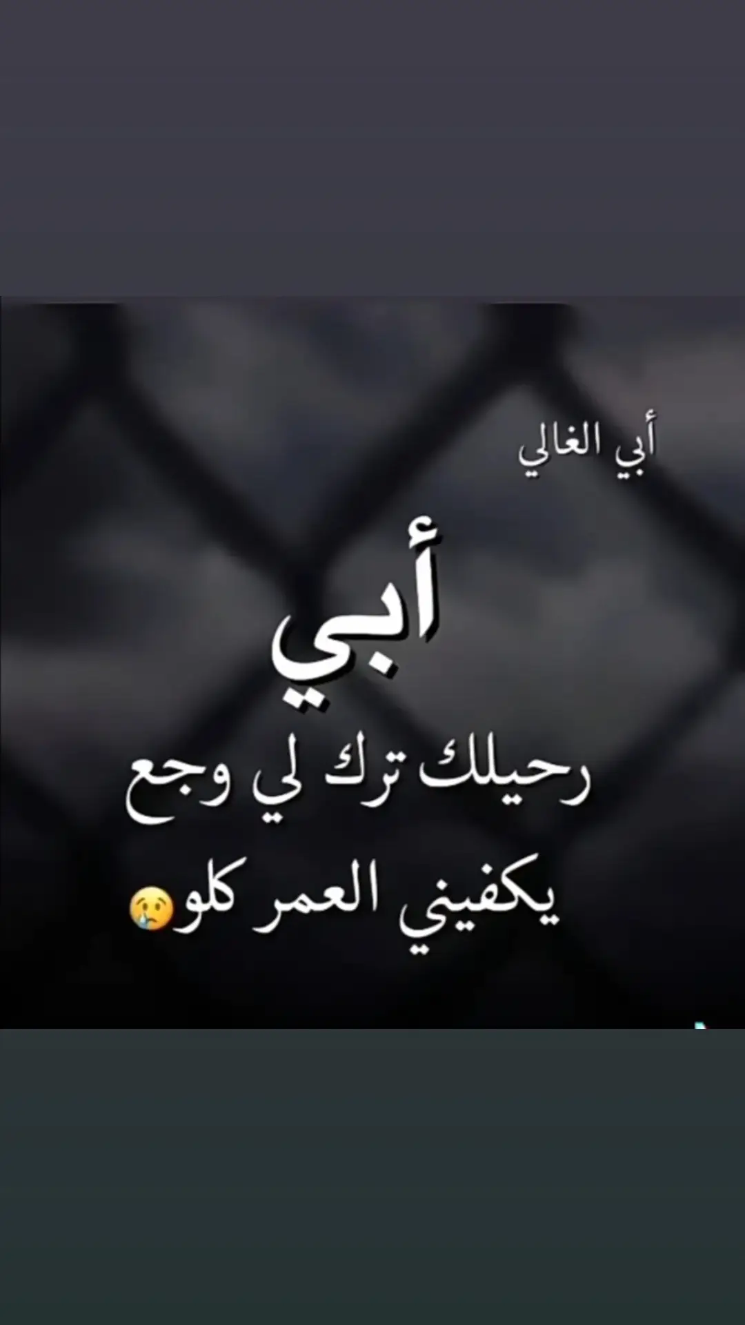 الوالد للشيخ محمود الحسنات#محمود_الحسنات #رحيل_الاب_هوا_رحيل_الحياة🖤 #الاب #tiktok #foryou #fypシ #الشعب_الصيني_ماله_حل😂😂 