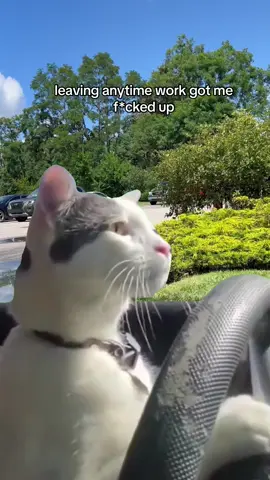 that's why I got 7- 3/4 of a point on an 8 pt system 😂😂 #brb #worklife #fypシ 