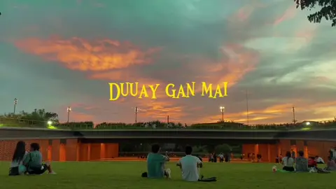 Duuay gan mai 