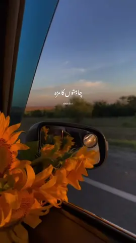 𝐓𝐮𝐦 𝐉𝐨 𝐀𝐚𝐲𝐞 𝐙𝐢𝐧𝐝𝐚𝐠𝐢 𝐌𝐞𝐢𝐧 𝐁𝐚𝐚𝐭 𝐁𝐚𝐧 𝐆𝐚𝐢❤️🌎✨🖇️ 𝐑𝐚𝐡𝐚𝐭 𝐅𝐚𝐭𝐞𝐡 𝐀𝐥𝐢 𝐊𝐡𝐚𝐧 & 𝐓𝐮𝐥𝐬𝐢  𝐊𝐮𝐦𝐚𝐫✨♥️ #fyp #foryou #fypシ #foryoupage #nimiaesticx #rahatfatehalikhan #tulsikumar #tumjoaaye #song #lyricssongs #romanticsongs #whatsappstatus 