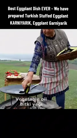 Episode 13_Best Eggplant Dish EVER - Turkish Stuffed Eggplant KARNIYARIK #countrylife #countrylifevlog #villagelife #villagecooking #countrylife #cookingvlog #outdoor #outdoorcooking #wilderness #wildernesscooking #Recipe #dish #wild #nature #dinner #relaxingvideo #countrylifevlog #viralvideo #fyb #foryoupage #viralvideo #foryoupage 