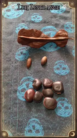 Sementes Sagradas #umbanda #radiestesia #espiritual #lua #espiritualidade #ocultismo #meditação #magialunar #magiacigana #magia #mantras #simpatias #simpatia #adoçamento #adoçamentoamoroso #bruxaumbanda #bruxaria #banhodeervas #bruxarianatural #candomblé #candomble #umbandasagrada #amarracao #amarração #amarracaoamorosa #hoodoo #vodu #tarot #tarô #runas #witchtok #witch 