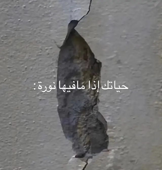 #راشد_الماجد #explore #fyp #نورة #❤️‍🔥 