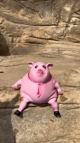 Say Goodbye to Stress with PinkyPig™️! 🐷 Introducing the PinkyPig™️ Stress Relief Squeeze Toy - your ultimate stress-busting companion, available exclusively at www.dailyday.us. Designed for both kids and adults, it promises a delightful squeeze and a burst of joy every time. Why Choose PinkyPig™️? 🌸 Adorable Design: Shaped as a cute pink pig, it’s hard not to smile when you have PinkyPig™️ in your hands. 🎈 Squishy Stress-Buster: Perfect for those moments when you need to take a break, relax, and de-stress. Its soft, squishy texture is perfect for squeezing away your worries. 🎉 Versatile Fun: Whether you’re filling up a party goodie bag or looking for that unique gift, PinkyPig™️ is an excellent choice for fun and relaxation. 👨‍👩‍👧‍👦 For All Ages: Kids love its fun design, and adults cherish the stress relief it provides during those hectic days. Stressful moments can now turn into moments of relaxation and fun. Whether it's for yourself or as a whimsical gift, PinkyPig™️ is bound to be a hit. Ready to squeeze away the stress? Visit www.dailyday.us and make PinkyPig™️ a part of your daily relaxation routine!