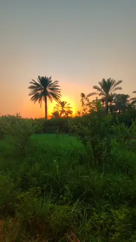 ۞ عَـسَى رَبّــكم أَن يُـبَدِّل أحْزَانكُم فَرَحـًا قَريـبـًا ۞ #اجمل عبارة #تصويري📸 