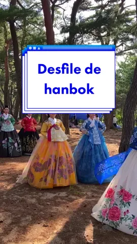Ver una pasarela de hanbok no pasa todos los días 💕 El hanbok es el vestido tradicional coreano. Se refiere específicamente a la ropa utilizada durante el periodo Joseon y se usa como ropa  semiformal o formal durante festivales y celebraciones, como bodas o año nuevo.  #vidaencorea #southkorea #coreadelsur #lifeinkorea #andong #hahoevillage #seoulkorea #unesco #aldeatradicional #travelkorea #koreatrip #koreatour #visitkorea #koreanlifestyle #koreanlife #hanbok 