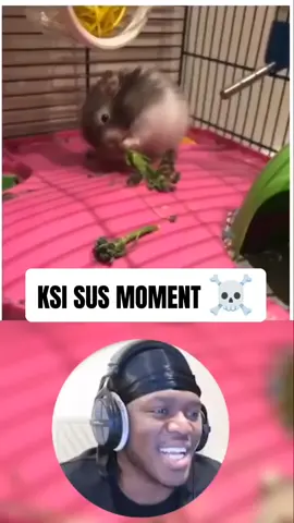 Part 3 || Ksi sus Moment #ksi 