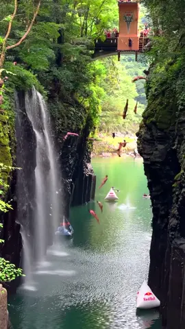 Can you count how many people dived into 📍#TakachihoGorge in #Japan during the Redbull Cliff Diving event ?🤯  🎥 @Red Bull Cliff Diving  #RedbullCliffDiving #cliffdiving #highdiving #traveltiktok #traveltok 