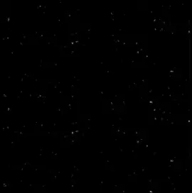 GMFU #shinobu #shinobukocho #fyp #fy #moots? #mutuals #kny #demonslayer #kimetsunoyaiba 