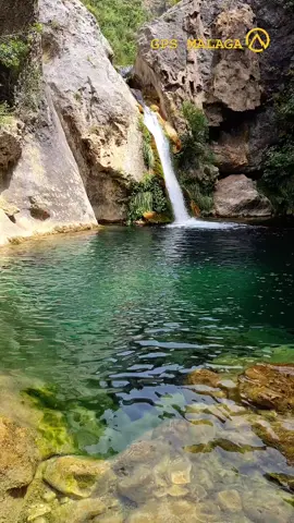 Sin duda alguna la Sierra de las Villas es la gran desconocida del Parque Natural de Cazorla, Segura y las Villas. Nos adentramos en el Arroyo de Aguascebas Grande, lo remontamos hasta llegar al bonito Charco Azul. Muy cerca también podemos visitar el impresionante Puente de la Toba de heladas agua y junto con el Charco Verde. 🟠 Datos de la Ruta: 🔸 Nombre: Charco Azul 🔸 Ubicación: Sierra de las Villas, Jaén 🔸 Dificultad: Moderada 🔸 Distancia: 7 km 🔸 Desnivel: 300 m Guarda en favoritos y etiqueta a la persona con quien te gustaría visitarlo. Video completo en YouTube @gpsmalaga Track de la ruta en Wikiloc @carlos todoterreno Buscanos en redes @gpsmalaga #rioaguascebasgrandes #jaen #sierradelasvillas #andalucia #pozas #charcas #cascadas #saltodeagua #paraiso #rios #pozas #gpsmalaga 