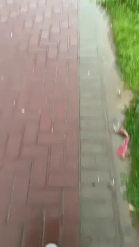 زستانی کەلار  ⛈️#kalar #sulemani #hawler #kurdistan #اکسبلور #everyone #nature #winter #rain 