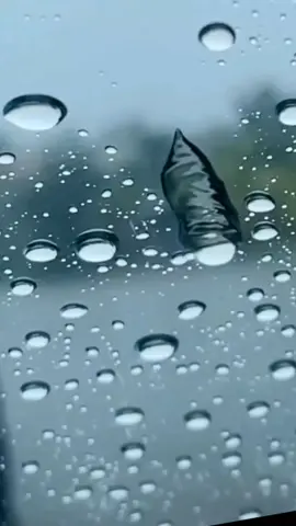 #conjuntoprimavera #bastaya 