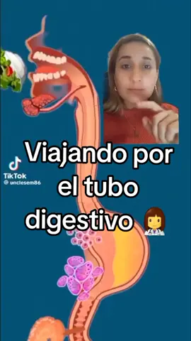 #asmr #asmrsounds #asmrvideo #digestion #absorcion 