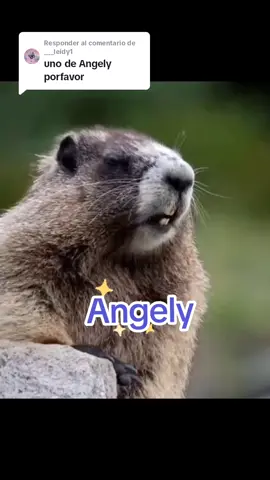 Respuesta a @___leidy1 #VoiceEffects #respondiendopeticiones #tendencia #🔥 #parati #foryou #ardillaquegrita #nombre #sitegustodalecorazon♥️ #sigueme😁 #viral_account_video_foryou🙏🏻 