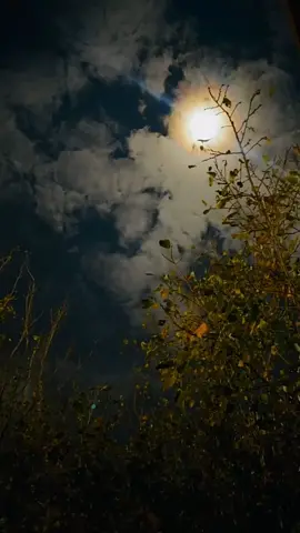 انا الليله يا غايب فوق #قصيد #اخر_الليل #تصميمي #شعر #اكسبلور #جبراتت📮١6 