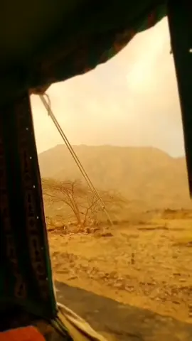 #اكسبلورexplore #بلسمر #ياقلبي #ياقلبي_الممتلي_حب_وبياض_ورشاد 