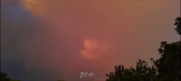 ”cara de diosa, tú eres un algel” #mora#dondecrjremix #parati #artista #fly #liri #viral #viraltiktok #foryou #foryoupage #pr #rd #colombia🇨🇴 #omarcourtz 