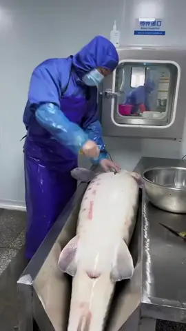 caviar making process 😳 #caviar #viraltiktok 