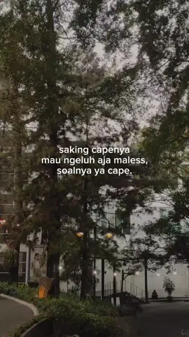 #viralid 