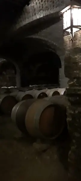 #goodvibes  #santiagodechile  #desconectarparaconectar  #relax  #salidita  #viñedosantarita  #viñasantarita  #viñasantaritachile  #wine  #winetiktok🍷  #santaritawine  #niceday 