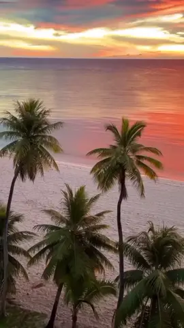 #beachscenery #nicescenery #naturebeauty #naturelovers #amazingvideo #stunningview #naturelover #niceview #relaxing #sunset #livewallpaper #videobackground #trending #foryoupage #foryou 