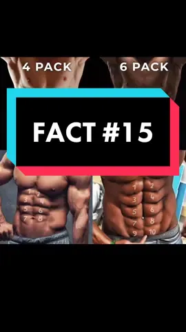 FACT 15 #greenscreen #factsyoudidntknow #thingsyoudidntknow #foryoupage #fyp #mythsandfacts #woketiktok #Fitness #ufo #uap #Science #abs #genetics #dna #liesyouweretold #banditdra #facts #fypシ #factsoverfeelings #History #muscle 