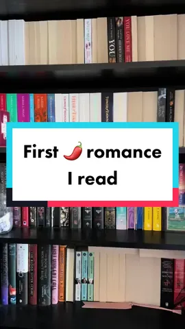 After reading the ACOTAR series, I wanted to give 🌶️ romance a go and this was the first series I read 📚 #BookTok #nikkisloane #nikkisloanebooks #bookrec #bookrecommendations #theinitiation #filthyrichamericansseries 