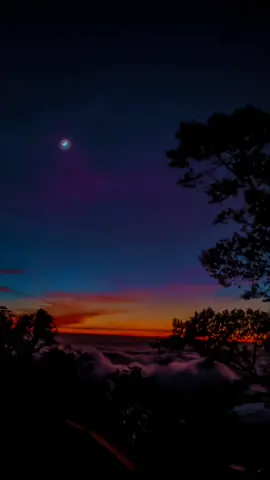 Huwan-nuuru yahdiil haa-iriina dliyaa-uhu🍃#capcut #templatecapcut #liriklagu #sholawat #dzikirdansholawat #huwannur #sholawatmerdu #sholawatan_yuk #sholawatnya_bikin_adem #fypシ #fyp #foryou #foryoupage #fypdongggggggg 