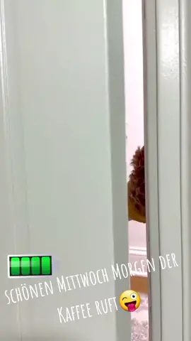 #lustigevideos #vordichris #funny #lustigevideos #dog #hund #pudel #lustig #gutenmorgen #coffee #kaffee #hundevideos #lustigevideos #mittwoch