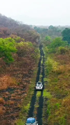 #Beauty Of #Ethiopia  Video Credit: Travel Ethiopia  . . . #ethiopianwildlife #africanwildlife #ethiopianbeauty #beautyofethiopia #beautyofafrica #ethiopiantiktok #EthiopianAdventures #NatureInEthiopia #cultureblend  #DiscoverEthiopia #HiddenGemsEthiopia #waterfallmagic  #exploreethiopia 