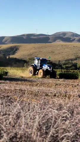 New Holland T7 No Diretao  Gostou?? Segue Nós Aí Da Essa Força 💪  TRATOWEL – Concessionária New Holland 💙🤠🇧🇷💛 ✅ Sua concessionária New Holland, para o Litoral Sul Catarinense e Serra Gaúcha. 📍 ARARANGUÁ/SC (48) 3524-1176 – WhatsApp (48) 99979-0076 ------ 📍 CAXIAS DO SUL/RS (54) 3229-0695 - WhatsApp (54) 99995-1298 🤠 Acompanhe diariamente nossas atividades no Instagram @tratowel  💙🤠🇧🇷✌️👍🌾🍓🪴🍇🍋🐄🌿💛 ------- ---------  Inscreva-se em nosso canal do YouTube (Link na bio) #agro #safra2023 #gurizadadograo #sojabrasil  #trator #agronomia  #aveia #sojeiros  #trigo #rural #milho #gbn #arrozeiros #agrorotina  #agro10Brasil #gfm #masseyferguson  #agricultura #arroz #soja #emalta #newholland  #class #explorarpage #fendt  #qualificados  #agronegocio #brasil  #johndeere  #agrozona  ...