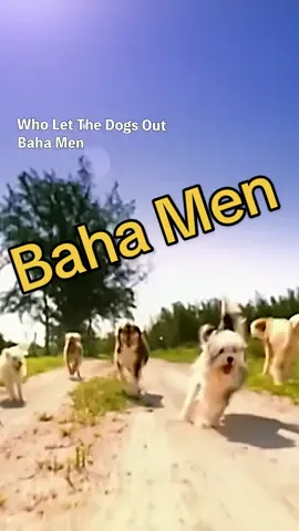 夏に聞きたい洋楽🐕🐕🐕🇧🇸 #bahamen #wholetthedogsout #SongOfTheSummer #洋楽和訳 #洋楽