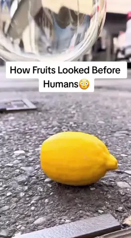 How Fruit Looked Before Humana 😱😱 #human #fruit #fypシ #fypシ゚viral #viral #tiktok 