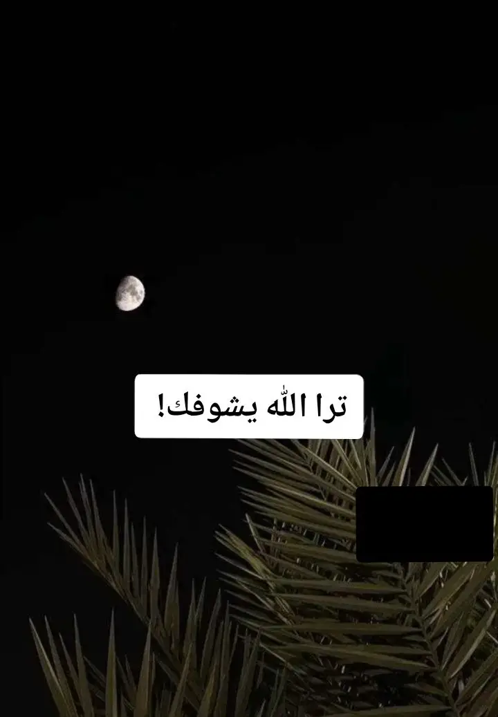 الله♥ #الله_اكبر #fyp #استغفرالله_العظيم_واتوب_اليه🕋📿🤲🏼 #راحه_نفسيه_القرآن_الكريم #راحة_نفسية 