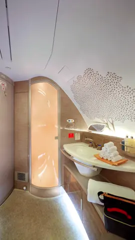 Yes, we have showers on-board. 💅🏼  #Emirates #LuxuryTravel #FirstClass #A380 #Kardashians