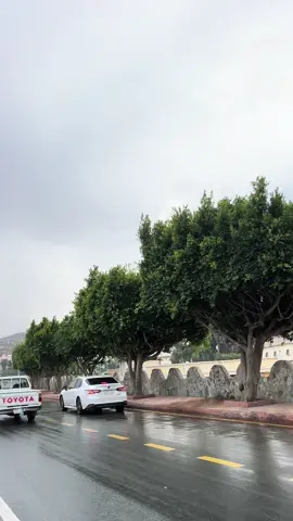 اجواء الباحه الان🤩