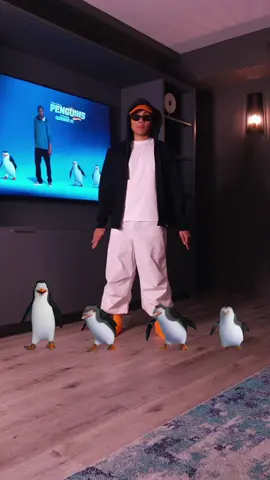 Happy feet got some competition 🐧 #penguins #madagascar #penguinsofmadagascar 
