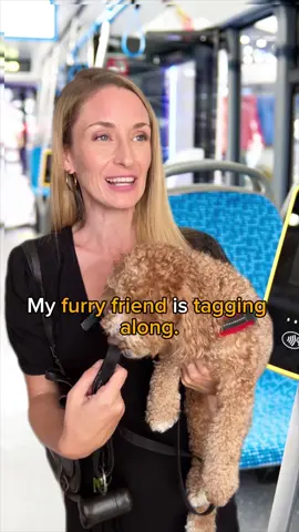 Fare: The money paid for a journey on public transport. Cash in hand: Money paid with cash,rather than through a bank. Furry friend: A pet Tag along: To go somewhere with someone (usually when they haven’t asked you) Be in luck: To be fortunate Familiar: To recognise easily Heads-up: A warning in advance Hop off/ get off: To get out of a vehicle * * * #english #vocabulary #learnenglish #englishcourse