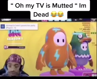 Mutted 😭😂 #fyp #fy #fypシ #goviral #flight #goviral #pov #funnyvideos #meme #viral #funny #fallguys #muted 