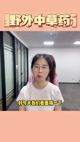 野外常见中草药，值得一看哦~#欢乐办公室  #办公室游戏  #中草药