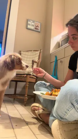 Sleep deprived woman cooks dinner to share with her dog #halibut #polenta 