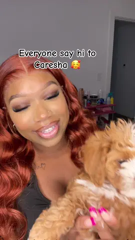 Everyone say hi to Caresha 🥰🥹This my first dog why nobody told me its like having a child omg 😭😭 #firstpuppy #cavapoopuppy #cavapoosoftiktok #bougiedogs #firstdog #puppy #dogtok #dogsoftiktok #puppycheck👍 #cutepuppy #smallbreeddogs #smallbreedpuppy #fypシ #foru #cute #dogmom #doglover 