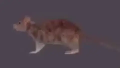 Low quality Gangam Style #fyp #fypシ #lowquality #lowqualitysongs #lowqualitymemes #memestiktok #memestiktok #memes #gangamstyle #mouse 