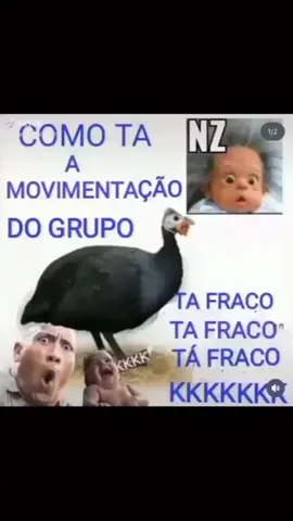 como ta a movimentação do grupo, ta fraco, ta fraco, ta fraco / #esquizopost #shitpost #memes #fy  parei de postar video pq comecei a trabalhar (tem nem 1 mês de trabalho e já odeio capitalismo)