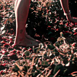 campo de morango 🍓 I #luisasonza #viral #fy #campodemorango #luisasonzaedit #julianeditsz 