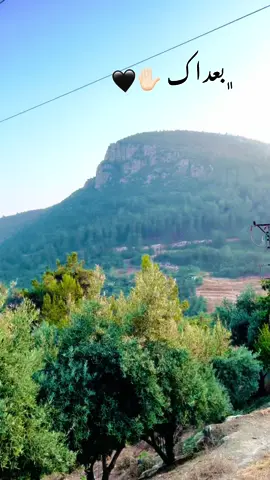 #CapCutنرجع الترند#تصويري📸 #اكسبلورexplore❥🕊 #fyp #fyp #شامخ  #CapCut 