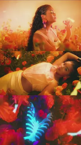 SKELETON VISUALIZER IS OUT NOW ON YT >:) GO WATCH OR ELSE !! or else what u may ask? i dont rlly know ill probably cry if u dont & i dont think u want that on ur shoulders right 🩻🩻🩻 #SKELETON #NEWMUSIC #VIRAL #SONGOFTHESUMMER #BANGER #HIT #POP #POPSTAR #ICON #AESTHETIC #1MIN #LONGERVIDEOS 