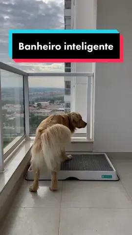 Ganhe desconto com cupom: HOPEOGOLDEN na @Weasy  #dicapet #weasyévida #weasy #banheiropet #goldenretriever #goldenretrieverlife 